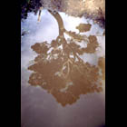 010227118